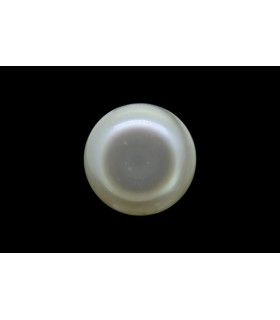 1.49 cts Natural Pearl - Moti (SKU:90140310)