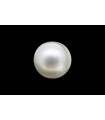 1.06 cts Natural Pearl (Moti)