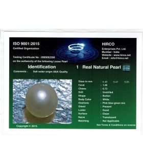 1.06 cts Natural Pearl - Moti (SKU:90140235)