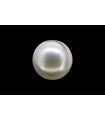 .88 ct Natural Pearl (Moti)