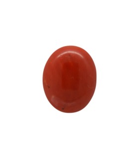 6.34 cts Natural Coral (Moonga)