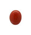 6.34 cts Natural Coral (Moonga)