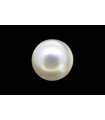 1.51 cts Natural Pearl (Moti)