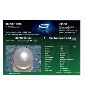 1.51 cts Natural Pearl - Moti (SKU:90140273)