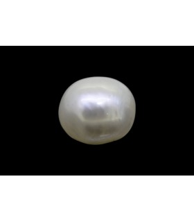 1.81 cts Natural Pearl - Moti (SKU:90140297)