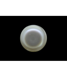 1.49 cts Natural Pearl - Moti (SKU:90140310)