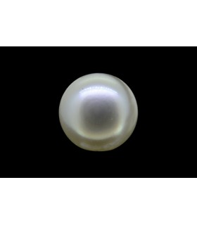 1.37 cts Natural Pearl - Moti (SKU:90140327)