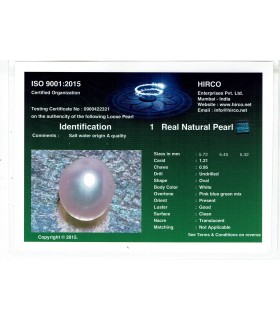 1.21 cts Natural Pearl - Moti (SKU:90140464)