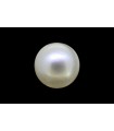 1.73 cts Natural Pearl (Moti)