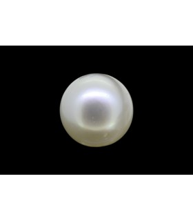 1.73 cts Natural Pearl - Moti (SKU:90140341)