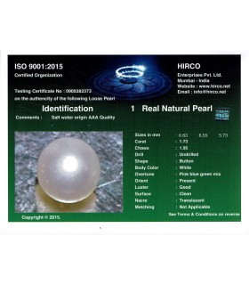 1.73 cts Natural Pearl - Moti (SKU:90140341)