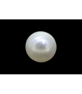 1.2 cts Natural Pearl (Moti)