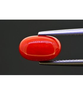 2.86 cts Natural Coral (Moonga)