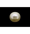 1.58 cts Natural Pearl (Moti)