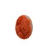 3.1 cts Natural Coral (Moonga)