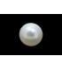 1.2 cts Natural Pearl (Moti)