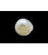 1.14 cts Natural Pearl - Moti (SKU:90140525)