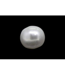 .79 ct Natural Pearl (Moti)