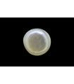 4.92 cts Cultured Pearl (Moti)