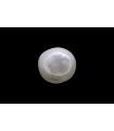 5 cts Cultured Pearl (Moti)
