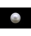 .79 ct Natural Pearl (Moti)