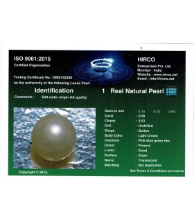 .9 ct Natural Pearl - Moti (SKU:90140587)