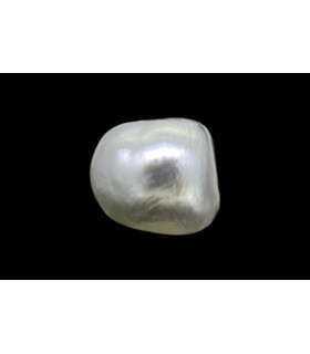 1.46 cts Natural Pearl (Moti)