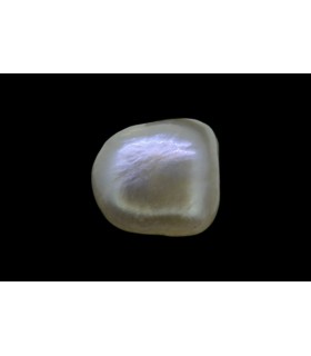 1.46 cts Natural Pearl - Moti (SKU:90140693)