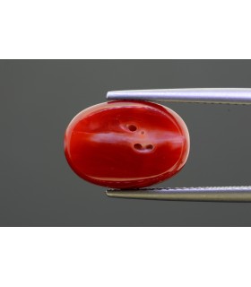 6.7 cts Natural Coral - Moonga (SKU:90149504)