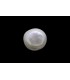 .88 ct Natural Pearl - Moti (SKU:90140631)