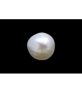 .52 ct Natural Pearl (Moti)