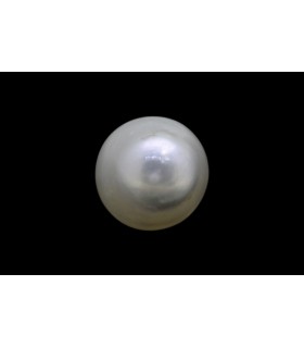 1.15 cts Natural Pearl - Moti (SKU:90140716)