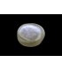 1.62 cts Natural Pearl - Moti (SKU:90140754)