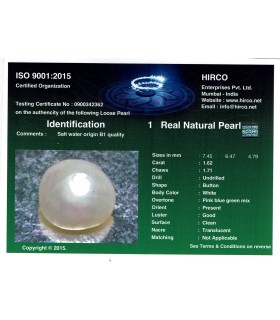 1.62 cts Natural Pearl - Moti (SKU:90140754)