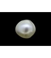 1.44 cts Natural Pearl (Moti)