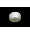 1.1 cts Natural Pearl (Moti)