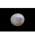 1.1 cts Natural Pearl - Moti (SKU:90140785)