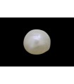 .6 ct Natural Pearl (Moti)