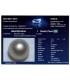 3.48 cts Cultured Pearl - Moti (SKU:90144776)