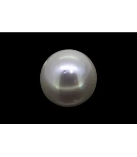 4.23 cts Cultured Pearl (Moti)