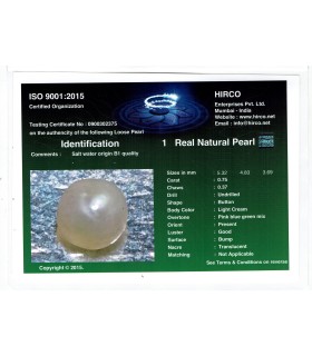 .75 ct Natural Pearl - Moti (SKU:90140884)