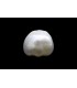 .89 ct Natural Pearl (Moti)