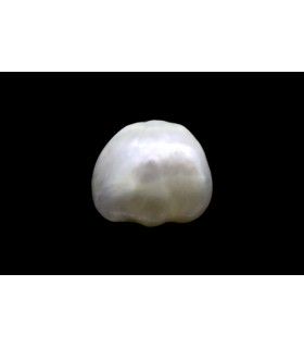 .89 ct Natural Pearl (Moti)