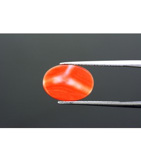 3.96 cts Natural Coral - Moonga (SKU:90007071)