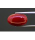 3.02 cts Unheated Natural Ruby (Manak)