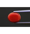 8.18 cts Natural Coral (Moonga)