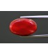 3.02 cts Unheated Natural Ruby - Manak (SKU:90148781)