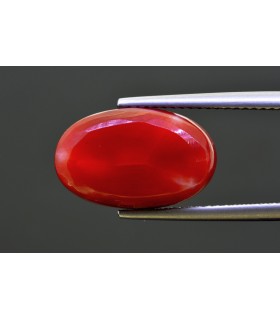 3.02 cts Unheated Natural Ruby - Manak (SKU:90148781)