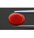 8.44 cts Natural Coral - Moonga (SKU:90149634)