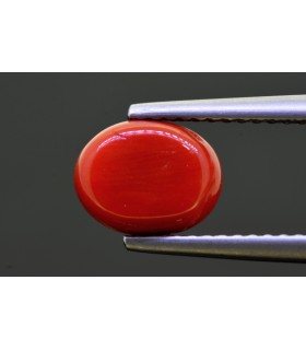 8.44 cts Natural Coral - Moonga (SKU:90149634)